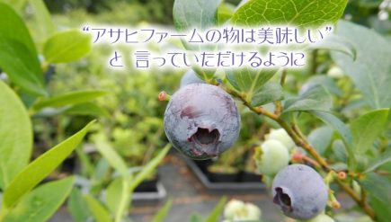 "アサヒファームの物は美味しい" と言って頂けるように