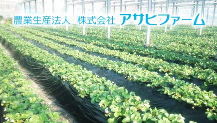 農業生産法人 株式会社アサヒファーム